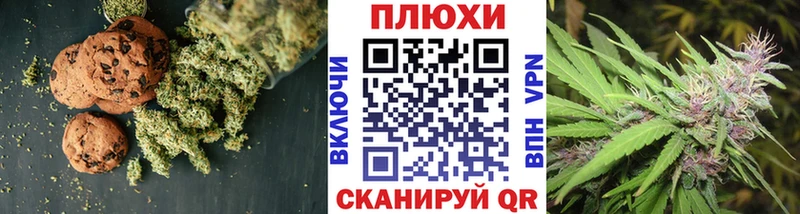 MEGA tor  купить наркотик  Андреаполь  Cannafood конопля 