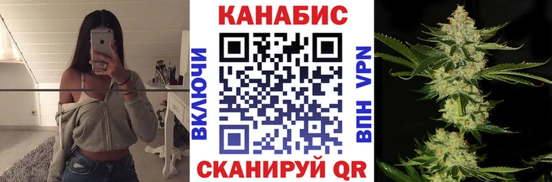 где купить наркоту  Андреаполь  Марихуана THC 21% 